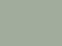Okleina ZIELEŃ szałwiowa mat 45x200